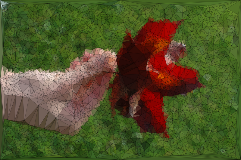Toby Skinner Generative Art Voronoi