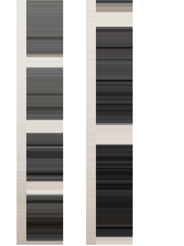 Toby Skinner Generative Art Scans